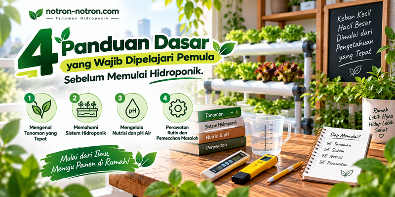 4 Panduan Dasar yang Wajib Dipelajari Pemula Sebelum Memulai Hidroponik