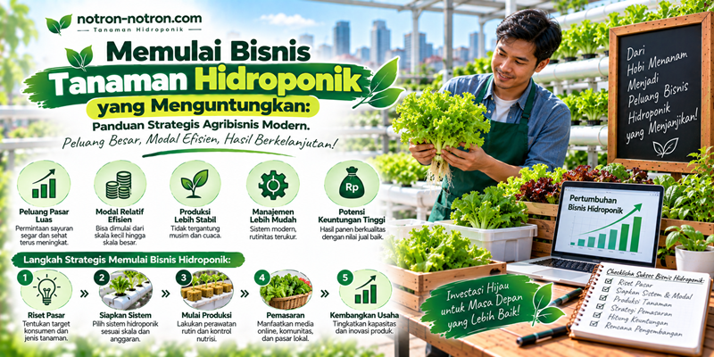 Memulai Bisnis Tanaman Hidroponik yang Menguntungkan: Panduan Strategis Agribisnis Modern