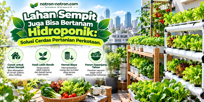 Lahan Sempit Juga Bisa Bertanam Hidroponik Solusi Cerdas Pertanian Perkotaan