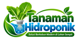 Tanaman Hidroponik